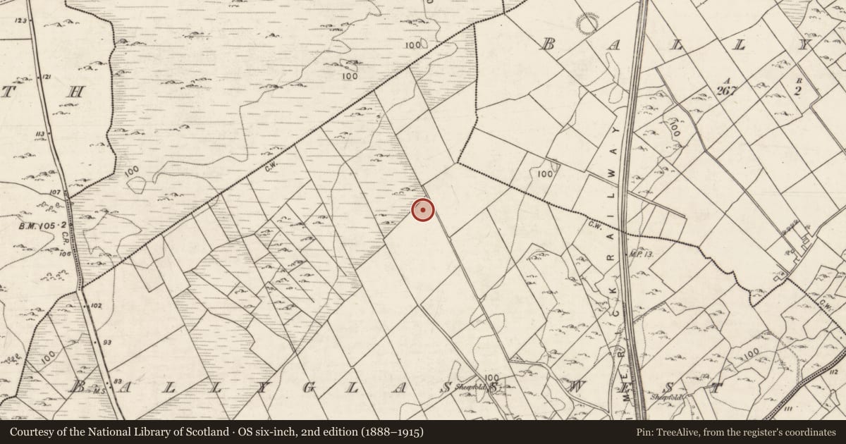 Ordnance Survey six-inch map, 2nd edition (1888–1915) covering the location of Ringfort - rath, Ballyglass West, County Galway, with a pin at the register's coordinates