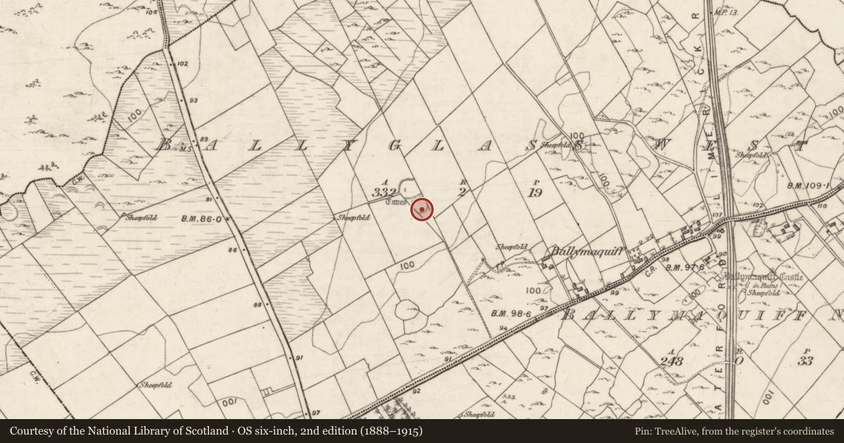 Ordnance Survey six-inch map, 2nd edition (1888–1915) covering the location of Ringfort - rath, Ballyglass West, County Galway, with a pin at the register's coordinates