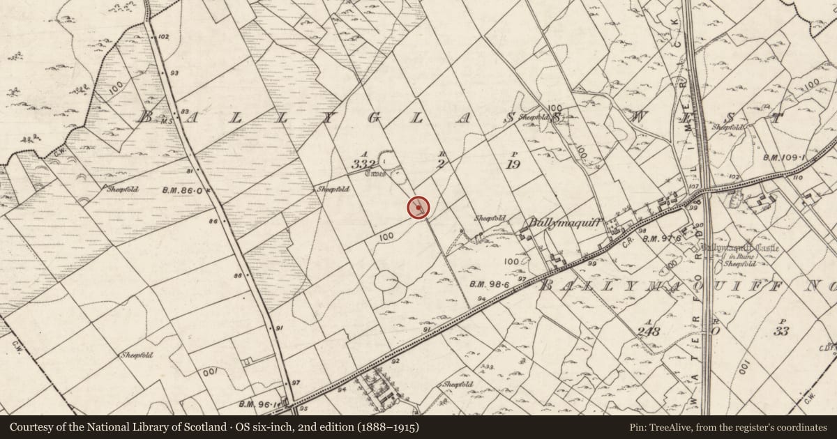 Ordnance Survey six-inch map, 2nd edition (1888–1915) covering the location of Souterrain, Ballyglass West, County Galway, with a pin at the register's coordinates