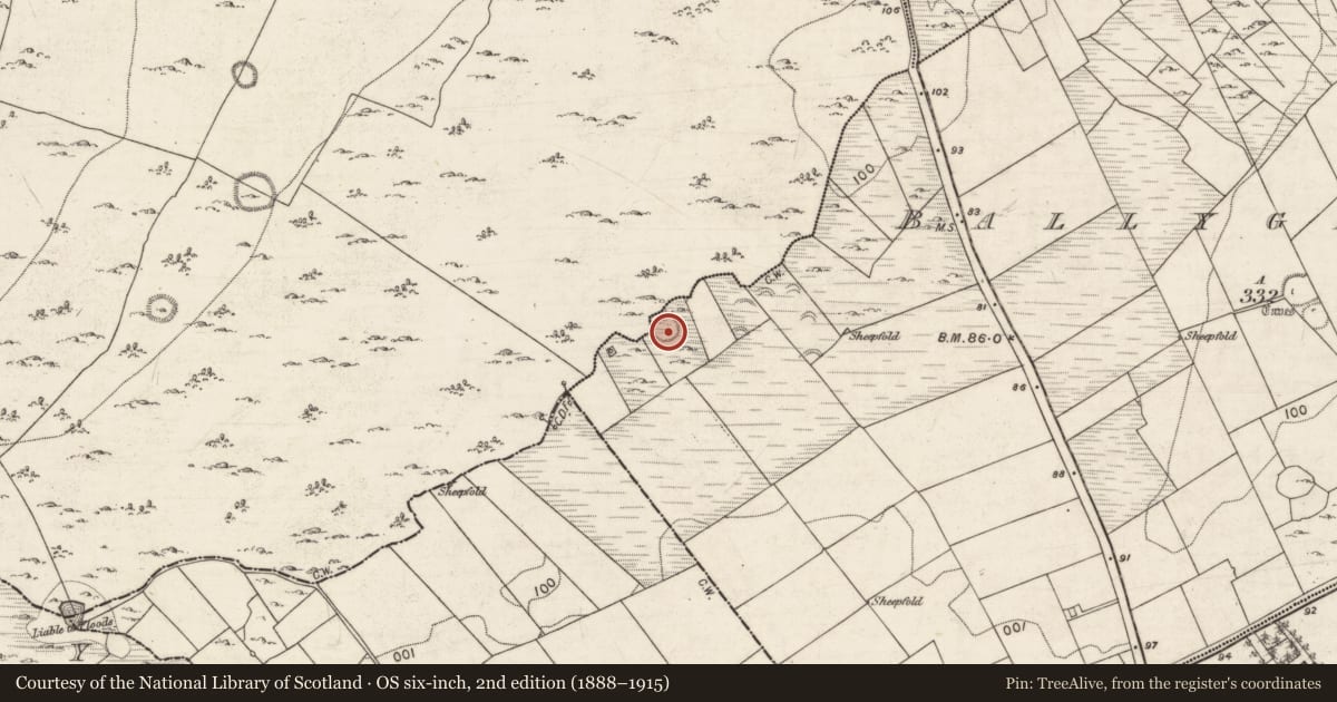 Ordnance Survey six-inch map, 2nd edition (1888–1915) covering the location of Ringfort - cashel, Ballyglass West, Drumharsna South, County Galway, with a pin at the register's coordinates