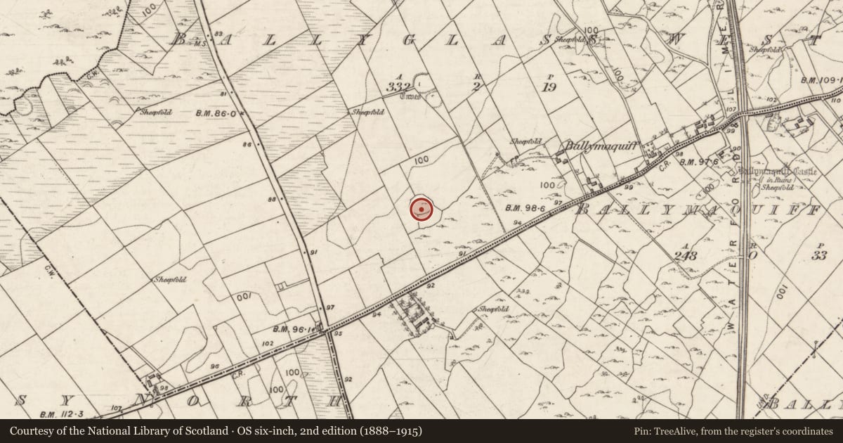 Ordnance Survey six-inch map, 2nd edition (1888–1915) covering the location of Children's burial ground, Ballyglass West, County Galway, with a pin at the register's coordinates