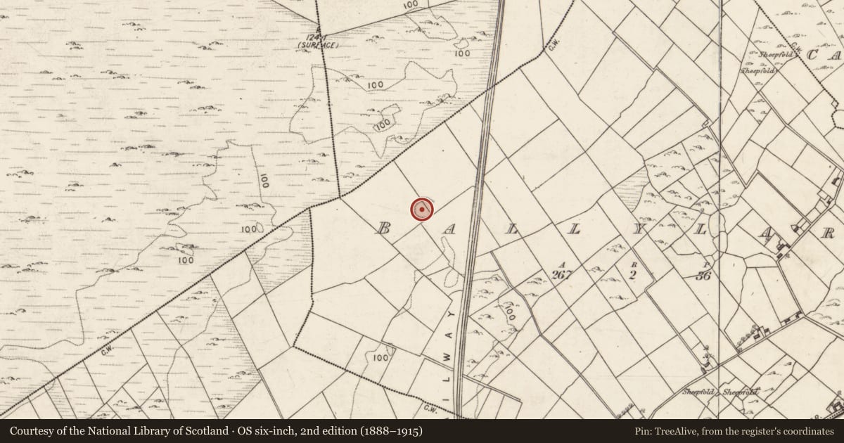 Ordnance Survey six-inch map, 2nd edition (1888–1915) covering the location of Ringfort - rath, Ballylara, County Galway, with a pin at the register's coordinates