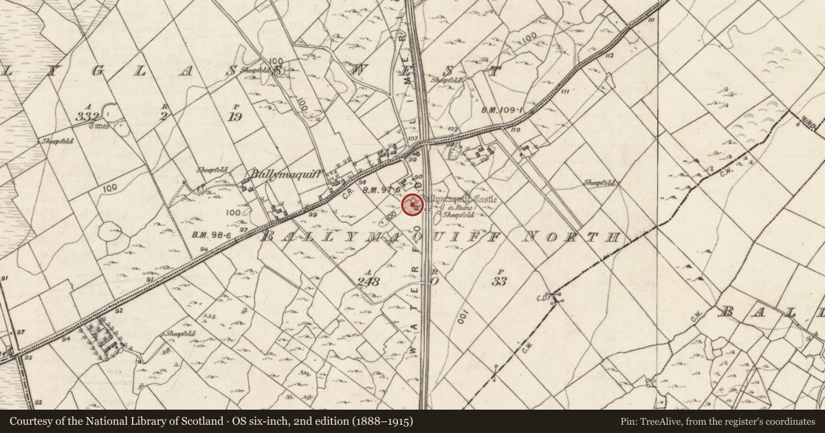 Ordnance Survey six-inch map, 2nd edition (1888–1915) covering the location of Castle - tower house, Ballymaquiff North, County Galway, with a pin at the register's coordinates