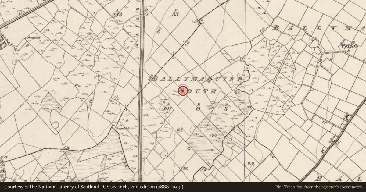 Ordnance Survey six-inch map, 2nd edition (1888–1915) covering the location of Ringfort - rath, Ballymaquiff South, County Galway, with a pin at the register's coordinates