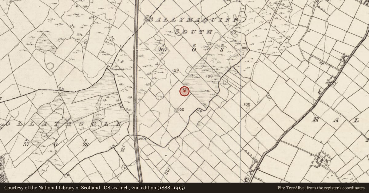 Ordnance Survey six-inch map, 2nd edition (1888–1915) covering the location of Earthwork, Ballymaquiff South, County Galway, with a pin at the register's coordinates