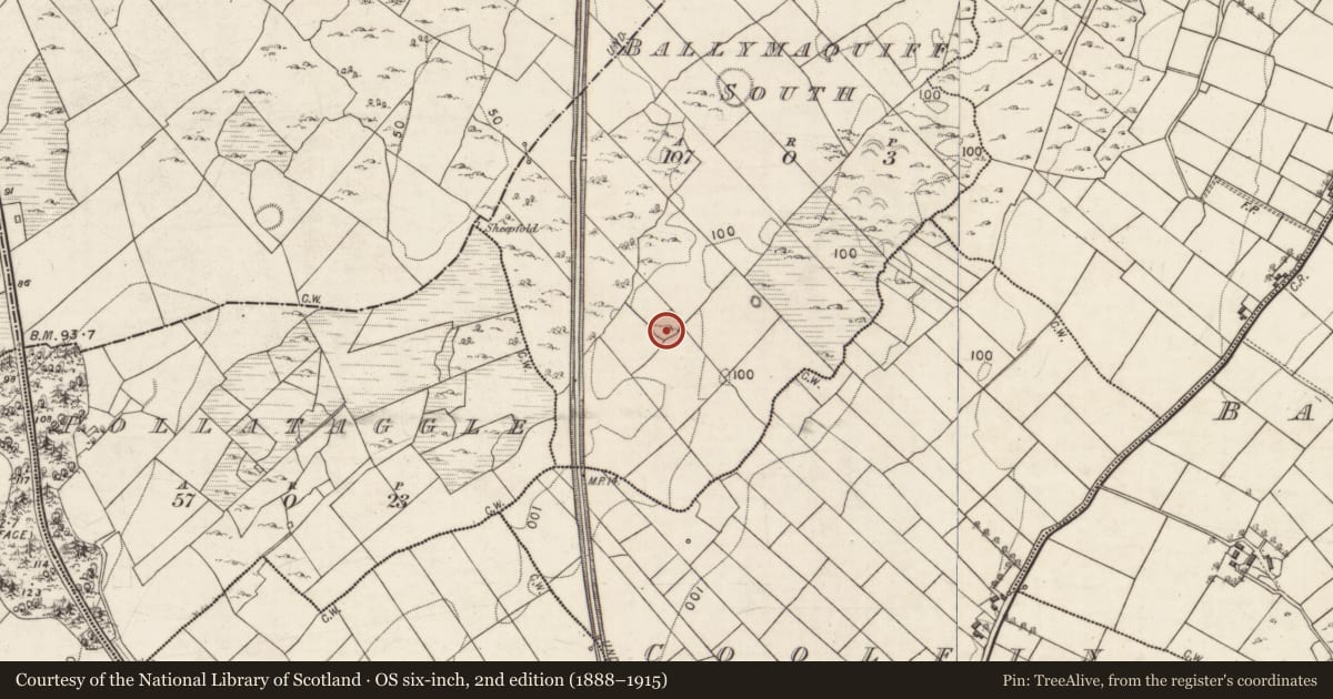 Ordnance Survey six-inch map, 2nd edition (1888–1915) covering the location of Ringfort - cashel, Ballymaquiff South, County Galway, with a pin at the register's coordinates