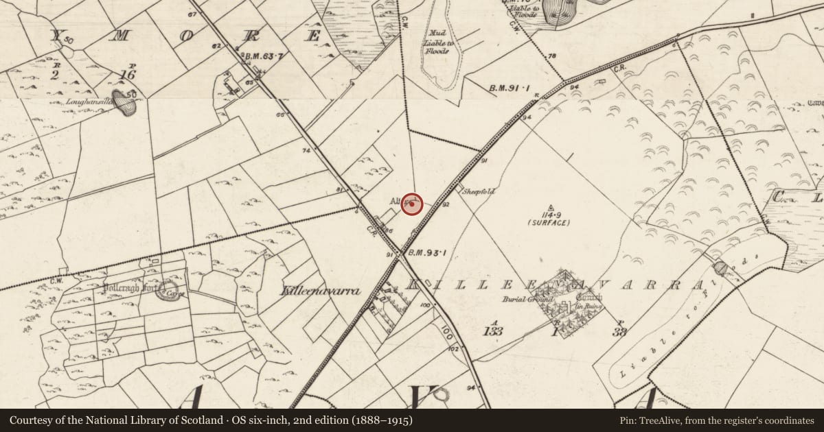 Ordnance Survey six-inch map, 2nd edition (1888–1915) covering the location of Ritual site - holy well, Ballymore, County Galway, with a pin at the register's coordinates
