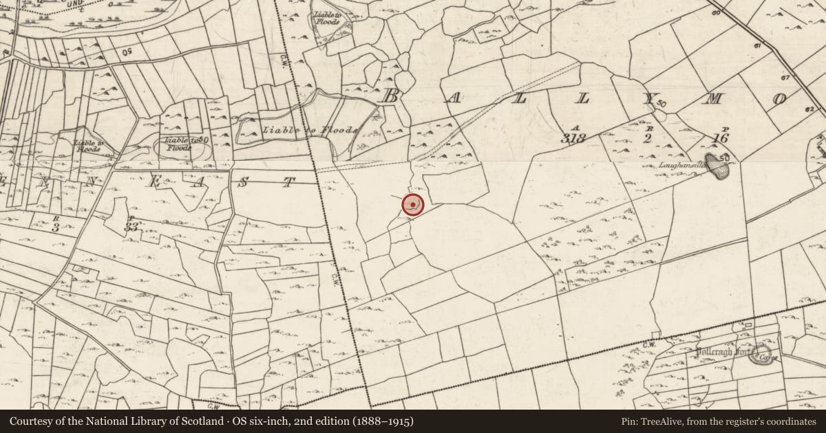 Ordnance Survey six-inch map, 2nd edition (1888–1915) covering the location of Ringfort - cashel, Ballymore, County Galway, with a pin at the register's coordinates