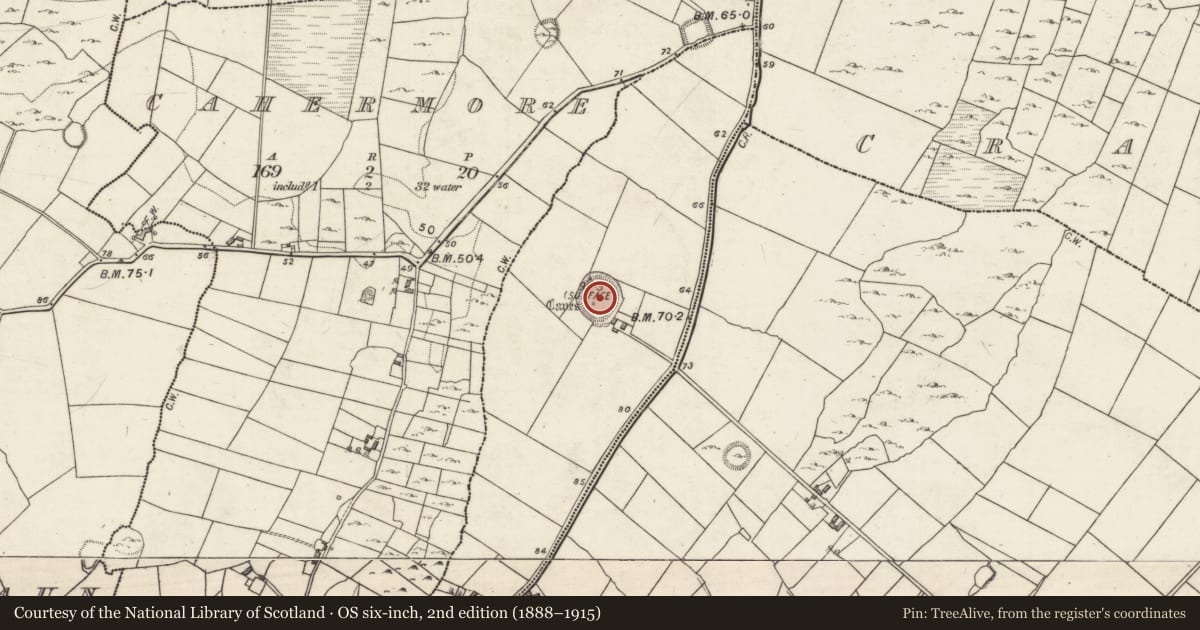 Ordnance Survey six-inch map, 2nd edition (1888–1915) covering the location of Ringfort - rath, Ballynastaig, County Galway, with a pin at the register's coordinates