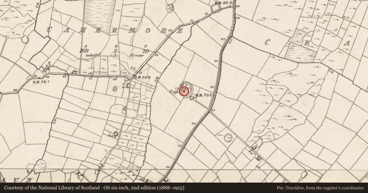 Ordnance Survey six-inch map, 2nd edition (1888–1915) covering the location of Souterrain, Ballynastaig, County Galway, with a pin at the register's coordinates