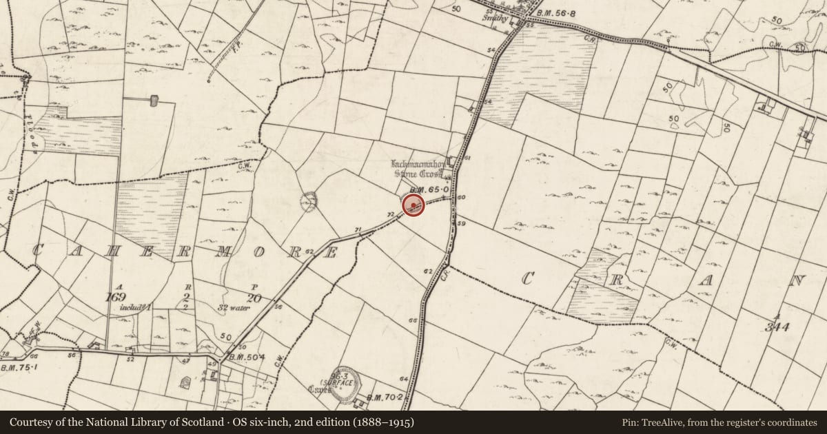 Ordnance Survey six-inch map, 2nd edition (1888–1915) covering the location of Moated site, Ballynastaig, Cahermore, County Galway, with a pin at the register's coordinates