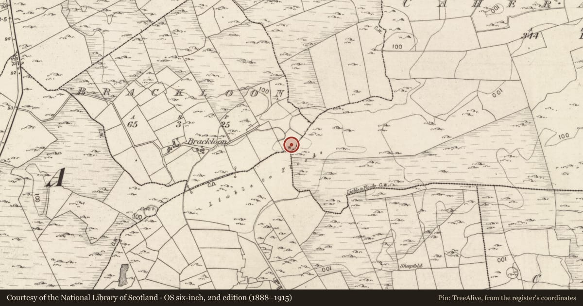 Ordnance Survey six-inch map, 2nd edition (1888–1915) covering the location of Ringfort - cashel, Brackloon, Caherateige, County Galway, with a pin at the register's coordinates