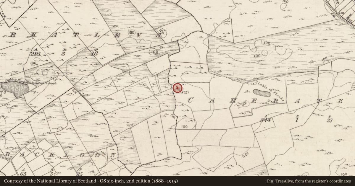 Ordnance Survey six-inch map, 2nd edition (1888–1915) covering the location of Ringfort - cashel, Caherateige, Parkatleva, County Galway, with a pin at the register's coordinates