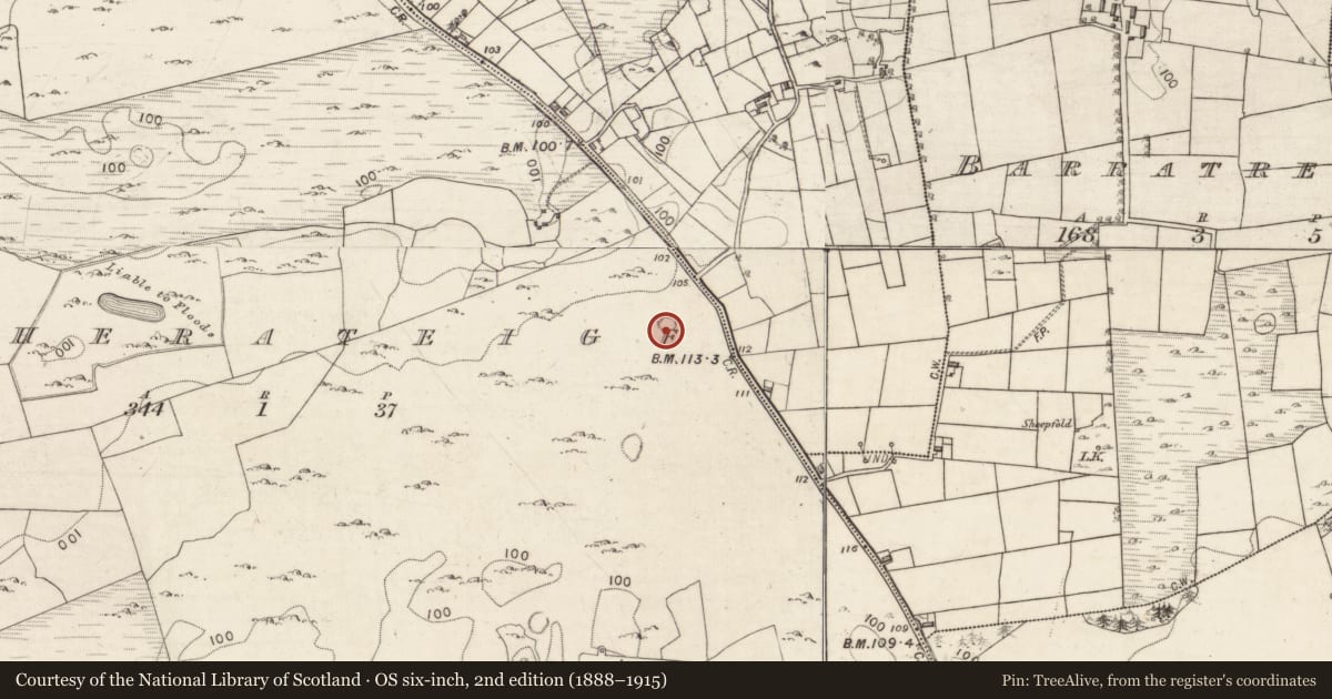 Ordnance Survey six-inch map, 2nd edition (1888–1915) covering the location of Ringfort - cashel, Caherateige, County Galway, with a pin at the register's coordinates