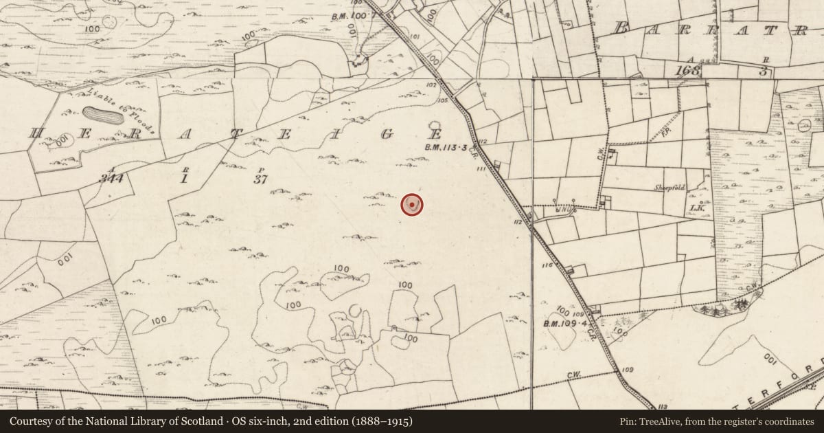 Ordnance Survey six-inch map, 2nd edition (1888–1915) covering the location of Ringfort - cashel, Caherateige, County Galway, with a pin at the register's coordinates