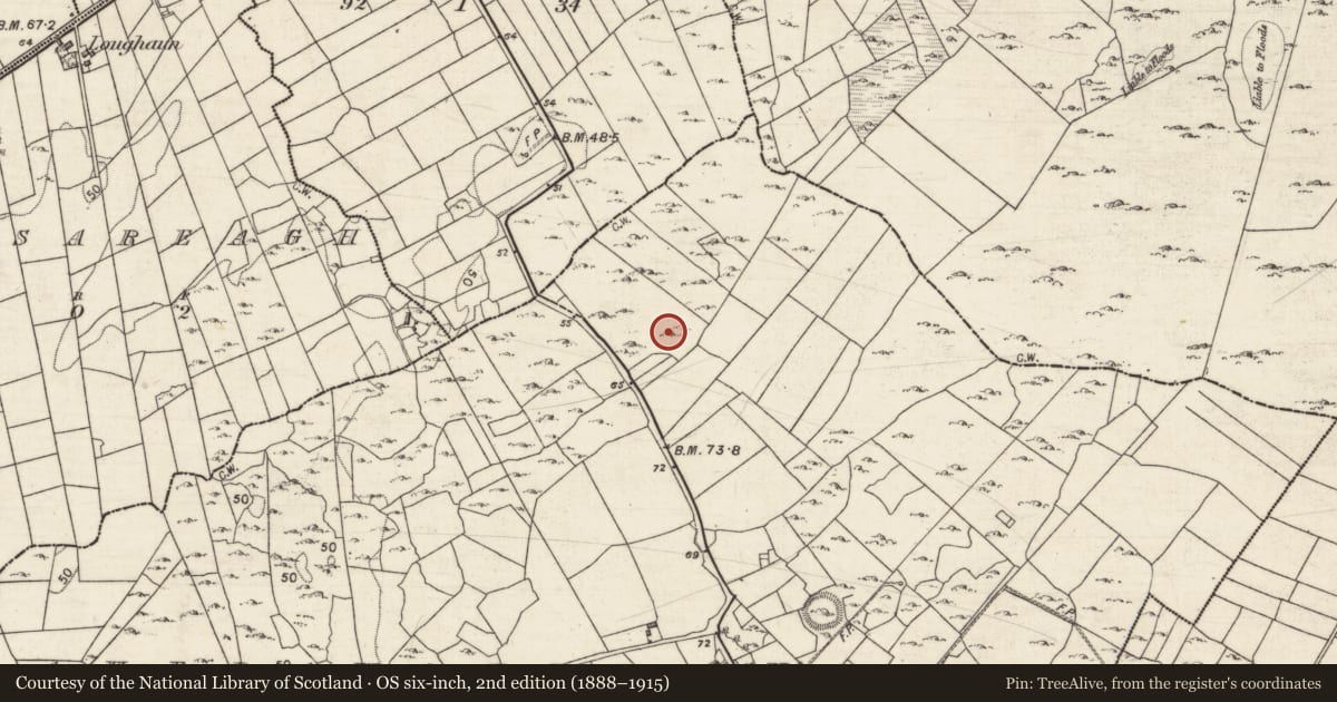 Ordnance Survey six-inch map, 2nd edition (1888–1915) covering the location of Ringfort - cashel, Caherawoneen North, County Galway, with a pin at the register's coordinates