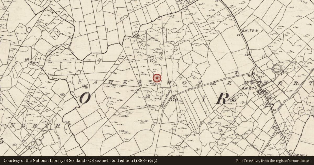 Ordnance Survey six-inch map, 2nd edition (1888–1915) covering the location of Ringfort - cashel, Caherawoneen North, County Galway, with a pin at the register's coordinates