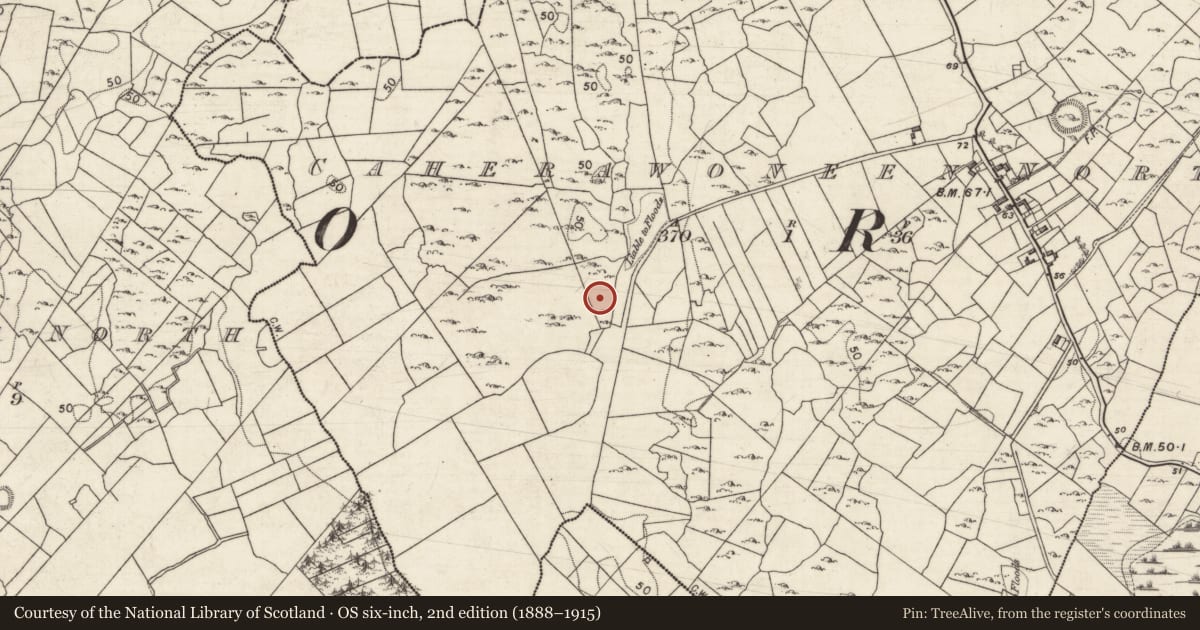 Ordnance Survey six-inch map, 2nd edition (1888–1915) covering the location of Ringfort - cashel, Caherawoneen North, County Galway, with a pin at the register's coordinates