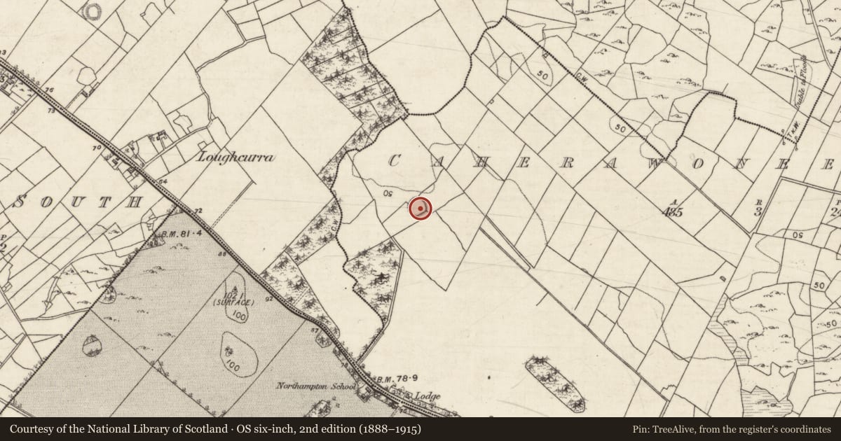 Ordnance Survey six-inch map, 2nd edition (1888–1915) covering the location of Ringfort - cashel, Caherawoneen South, County Galway, with a pin at the register's coordinates