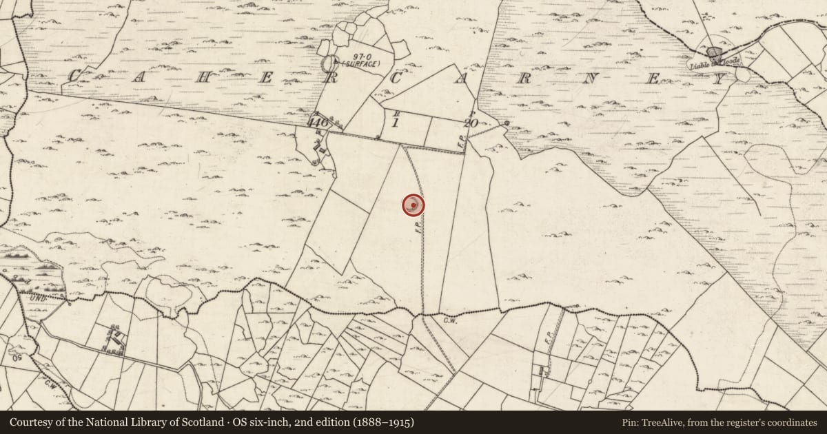 Ordnance Survey six-inch map, 2nd edition (1888–1915) covering the location of House - indeterminate date, Cahercarney, County Galway, with a pin at the register's coordinates