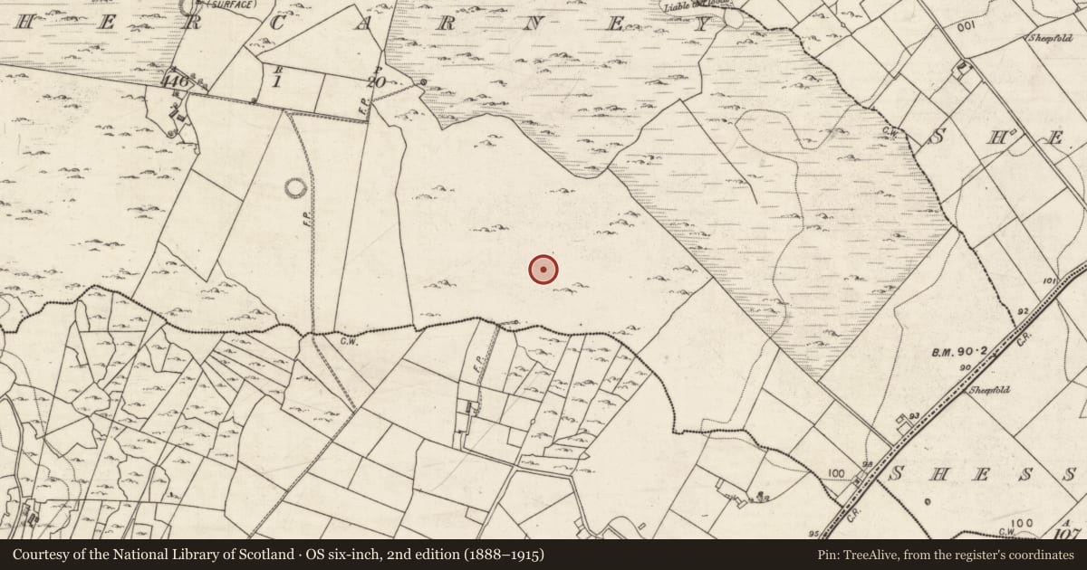 Ordnance Survey six-inch map, 2nd edition (1888–1915) covering the location of Ringfort - cashel, Cahercarney, County Galway, with a pin at the register's coordinates