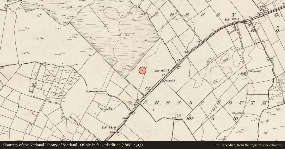 Ordnance Survey six-inch map, 2nd edition (1888–1915) covering the location of Enclosure, Cahercarney, County Galway, with a pin at the register's coordinates