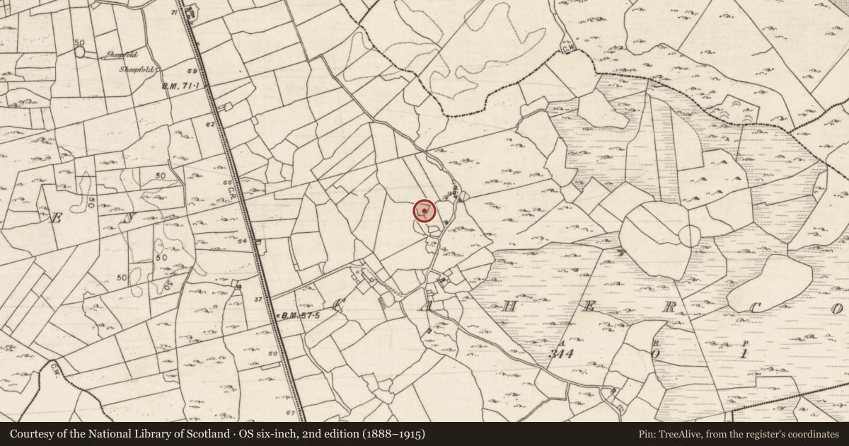 Ordnance Survey six-inch map, 2nd edition (1888–1915) covering the location of Ringfort - cashel, Cahercon, County Galway, with a pin at the register's coordinates