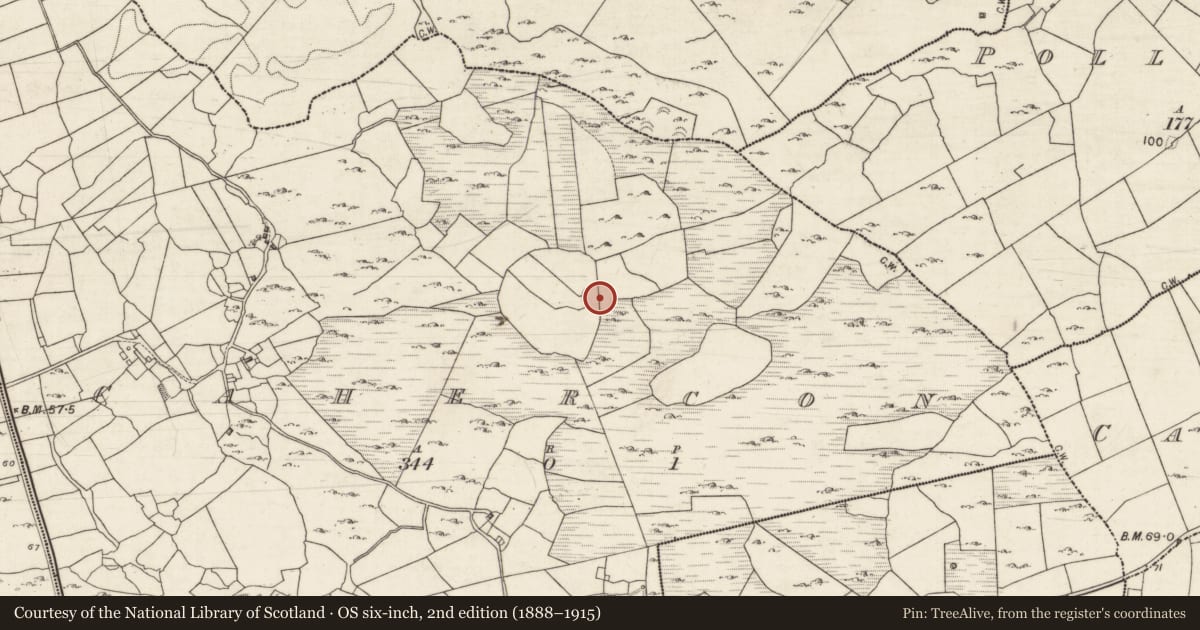 Ordnance Survey six-inch map, 2nd edition (1888–1915) covering the location of Ringfort - cashel, Cahercon, County Galway, with a pin at the register's coordinates