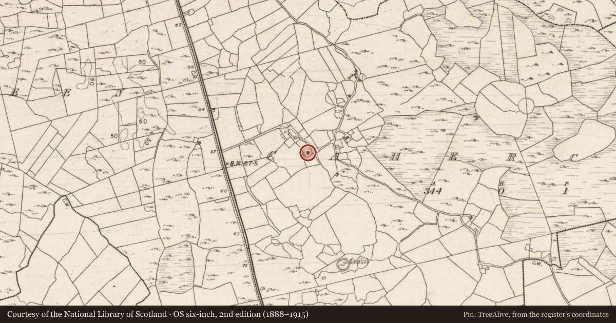 Ordnance Survey six-inch map, 2nd edition (1888–1915) covering the location of Ringfort - cashel, Cahercon, County Galway, with a pin at the register's coordinates