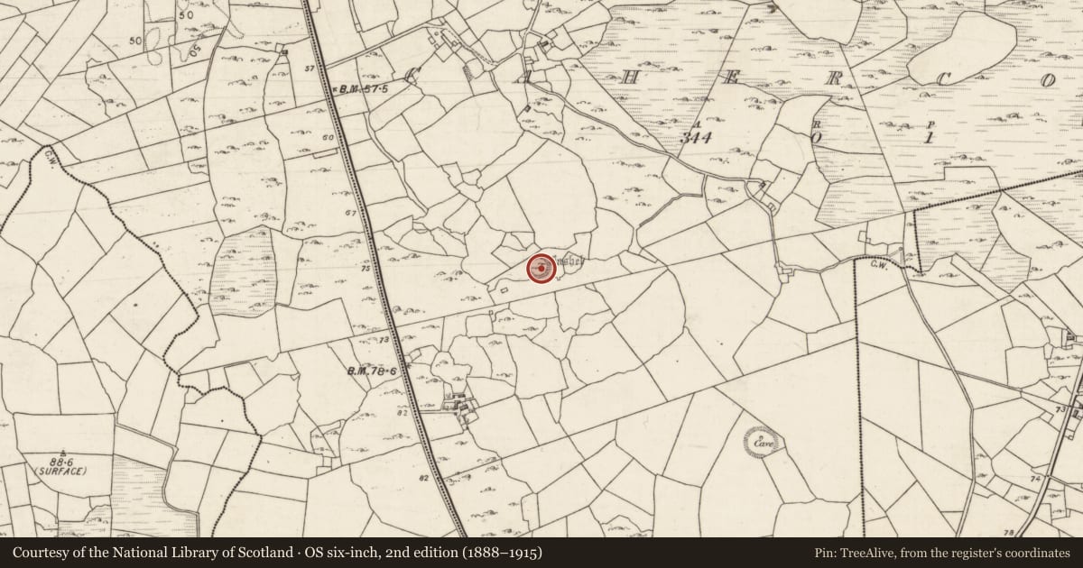 Ordnance Survey six-inch map, 2nd edition (1888–1915) covering the location of Ringfort - cashel, Cahercon, County Galway, with a pin at the register's coordinates