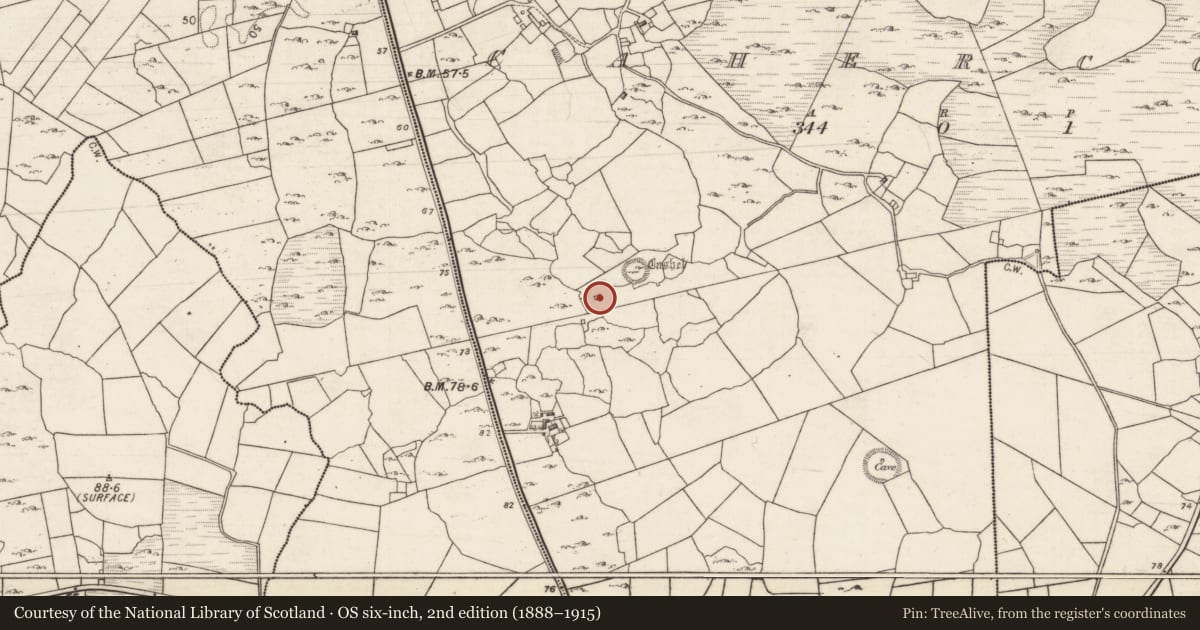 Ordnance Survey six-inch map, 2nd edition (1888–1915) covering the location of House - indeterminate date, Cahercon, County Galway, with a pin at the register's coordinates