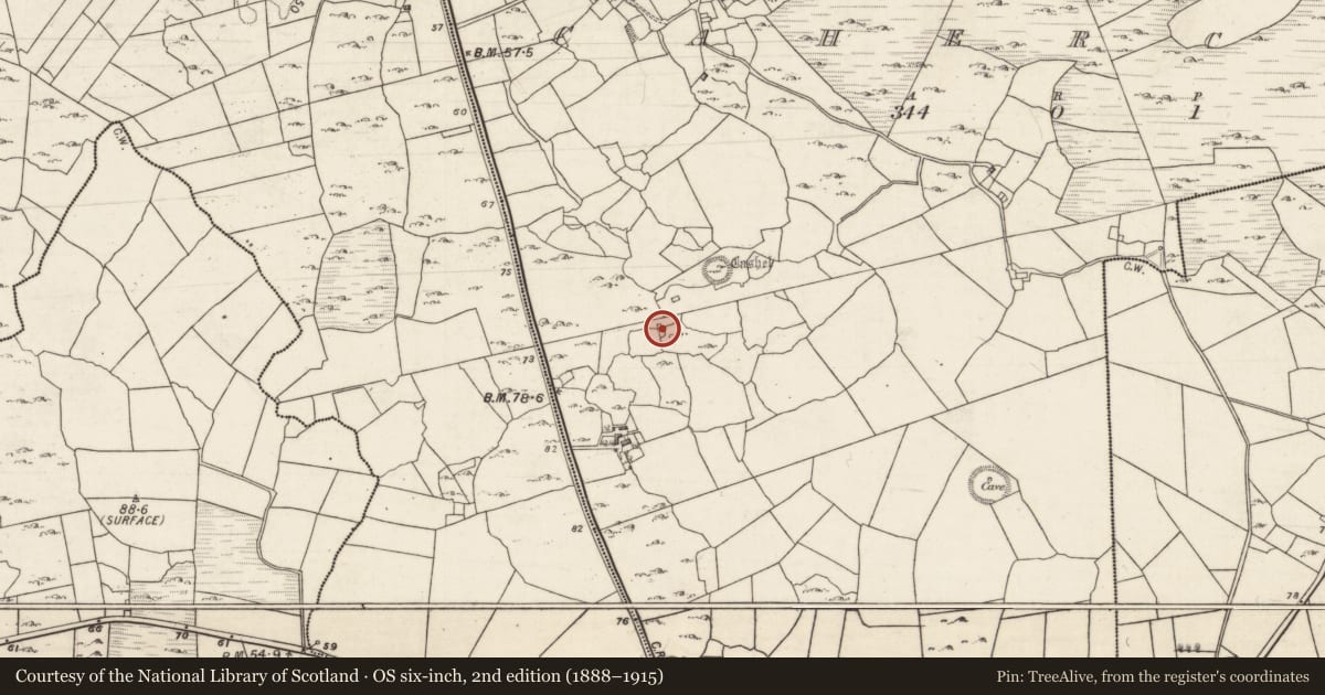 Ordnance Survey six-inch map, 2nd edition (1888–1915) covering the location of House - indeterminate date, Cahercon, County Galway, with a pin at the register's coordinates