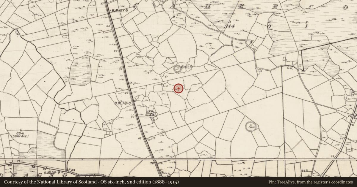 Ordnance Survey six-inch map, 2nd edition (1888–1915) covering the location of House - indeterminate date, Cahercon, County Galway, with a pin at the register's coordinates