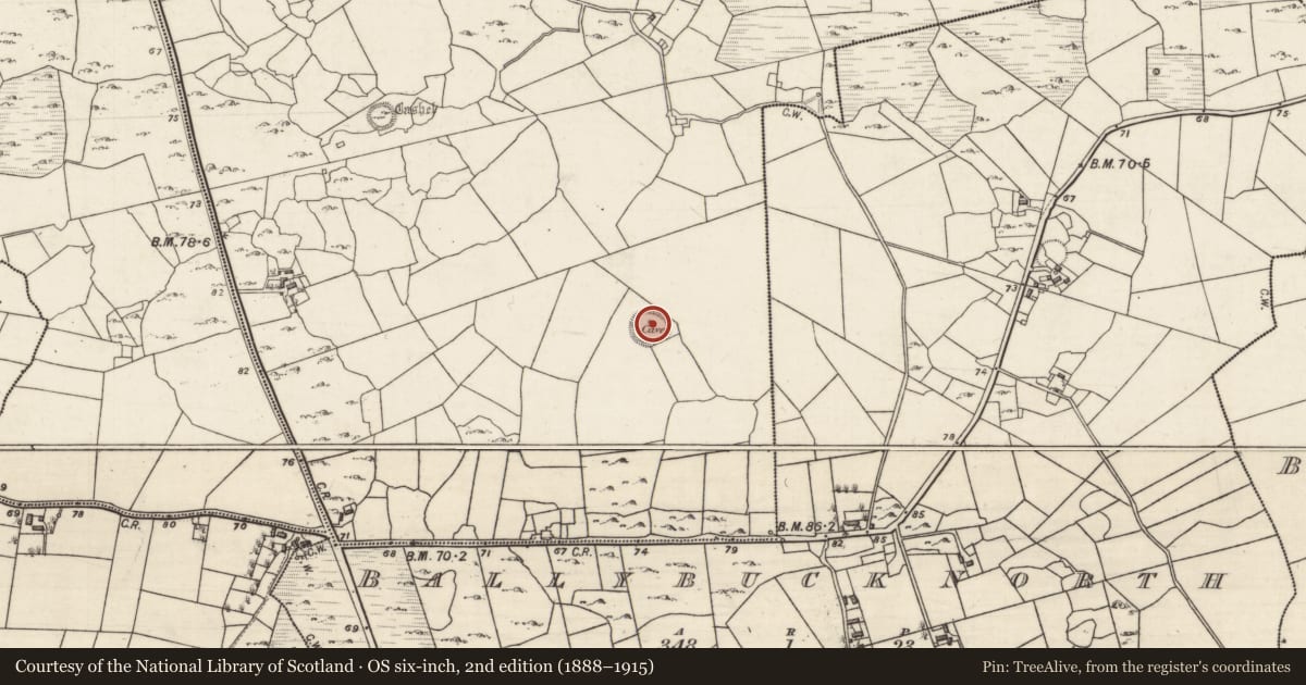 Ordnance Survey six-inch map, 2nd edition (1888–1915) covering the location of Souterrain, Cahercon, County Galway, with a pin at the register's coordinates