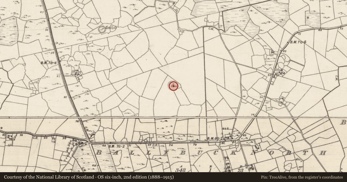Ordnance Survey six-inch map, 2nd edition (1888–1915) covering the location of House - indeterminate date, Cahercon, County Galway, with a pin at the register's coordinates
