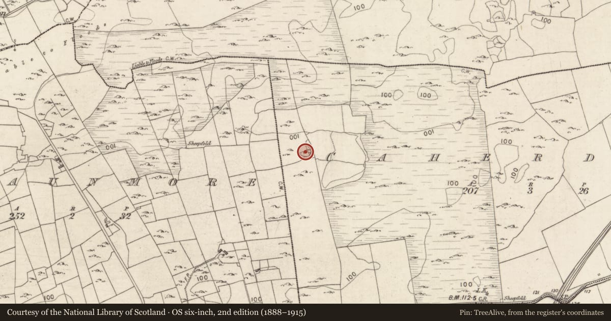 Ordnance Survey six-inch map, 2nd edition (1888–1915) covering the location of Ringfort - cashel, Caherdaly, County Galway, with a pin at the register's coordinates