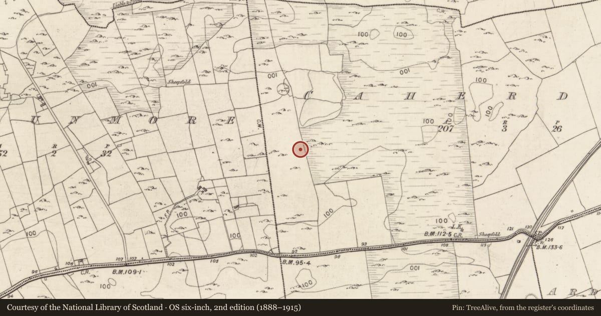 Ordnance Survey six-inch map, 2nd edition (1888–1915) covering the location of Ringfort - cashel, Caherdaly, County Galway, with a pin at the register's coordinates