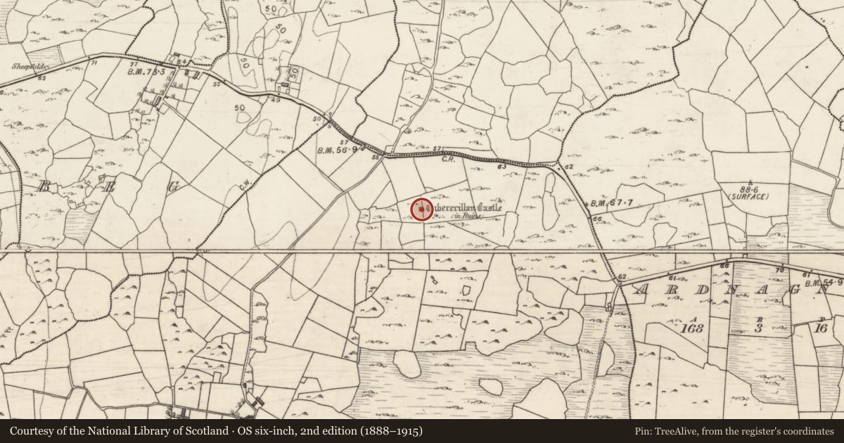 Ordnance Survey six-inch map, 2nd edition (1888–1915) covering the location of Castle - tower house, Cahererillan, County Galway, with a pin at the register's coordinates