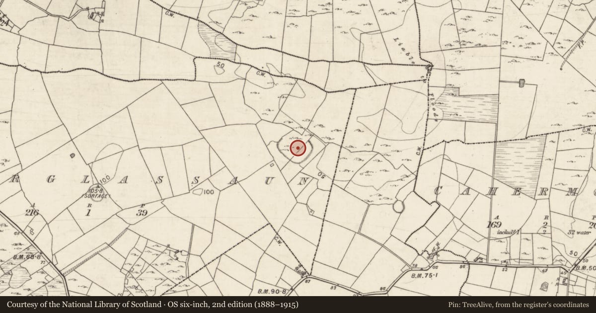 Ordnance Survey six-inch map, 2nd edition (1888–1915) covering the location of Enclosure - large enclosure, Caherglassaun, County Galway, with a pin at the register's coordinates
