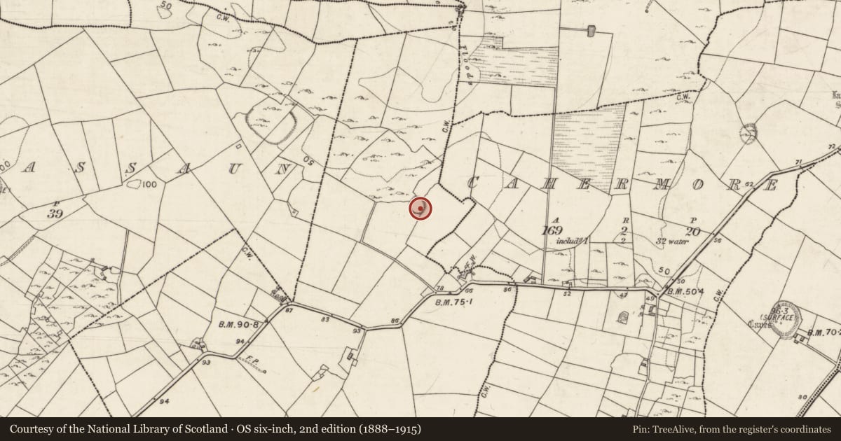 Ordnance Survey six-inch map, 2nd edition (1888–1915) covering the location of Ringfort - cashel, Caherglassaun, County Galway, with a pin at the register's coordinates
