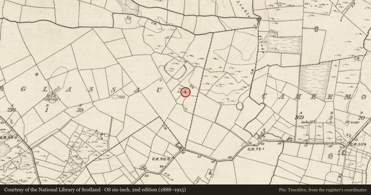 Ordnance Survey six-inch map, 2nd edition (1888–1915) covering the location of Mound, Caherglassaun, County Galway, with a pin at the register's coordinates