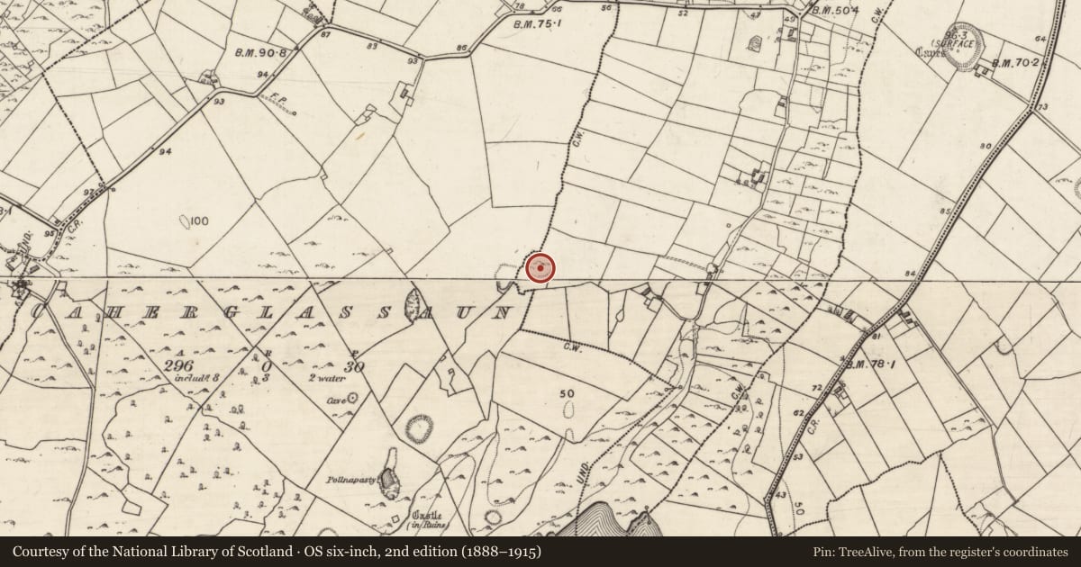 Ordnance Survey six-inch map, 2nd edition (1888–1915) covering the location of Ringfort - cashel, Caherglassaun, Cahermore, County Galway, with a pin at the register's coordinates