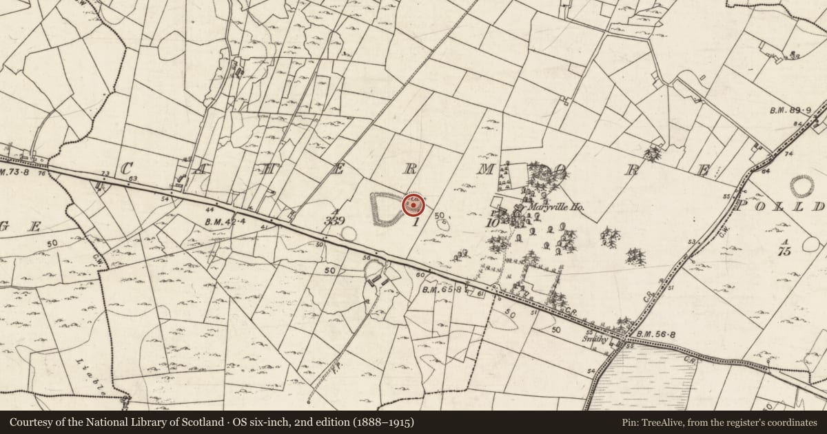 Ordnance Survey six-inch map, 2nd edition (1888–1915) covering the location of Ringfort - cashel, Cahermore, County Galway, with a pin at the register's coordinates