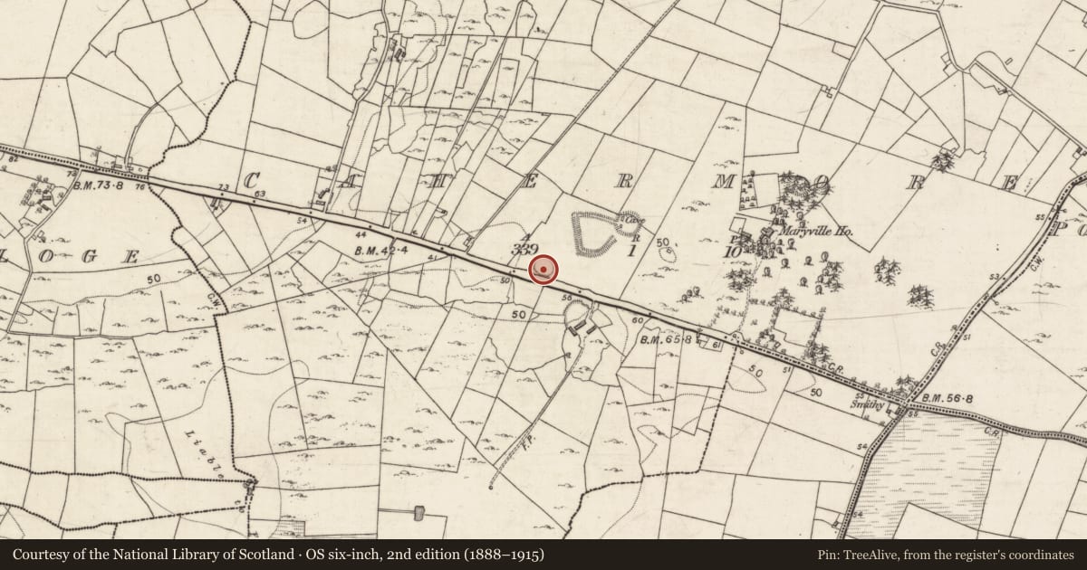 Ordnance Survey six-inch map, 2nd edition (1888–1915) covering the location of Ringfort - cashel, Cahermore, County Galway, with a pin at the register's coordinates