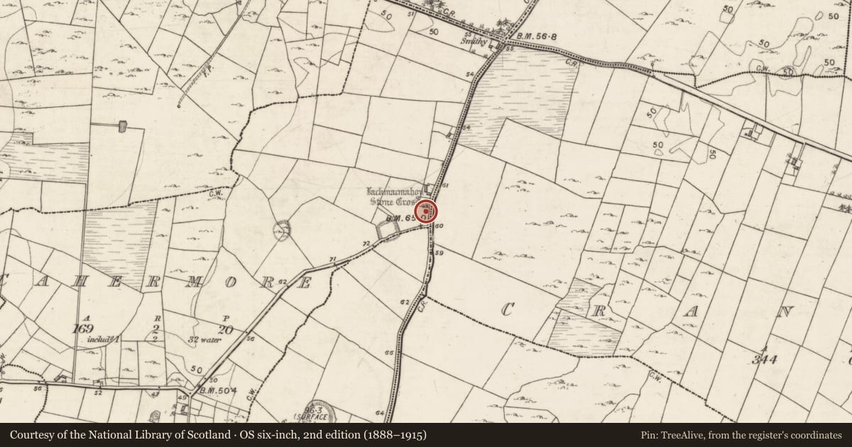 Ordnance Survey six-inch map, 2nd edition (1888–1915) covering the location of Cross, Cahermore, County Galway, with a pin at the register's coordinates