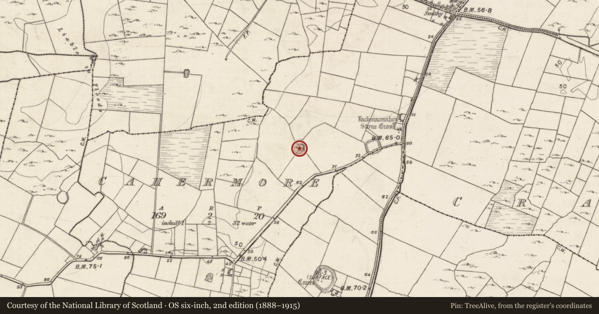 Ordnance Survey six-inch map, 2nd edition (1888–1915) covering the location of Ringfort - rath, Cahermore, County Galway, with a pin at the register's coordinates