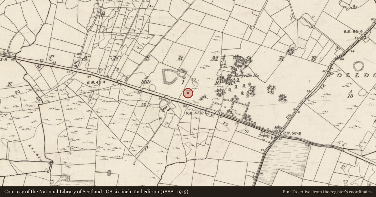 Ordnance Survey six-inch map, 2nd edition (1888–1915) covering the location of Ringfort - rath, Cahermore, County Galway, with a pin at the register's coordinates