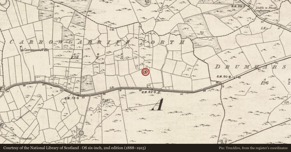 Ordnance Survey six-inch map, 2nd edition (1888–1915) covering the location of Ringfort - cashel, Carrowgarriff North, County Galway, with a pin at the register's coordinates
