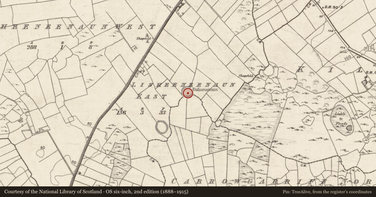 Ordnance Survey six-inch map, 2nd edition (1888–1915) covering the location of Children's burial ground, Carrowgarriff North, Lisheeneenaun East, County Galway, with a pin at the register's coordinates
