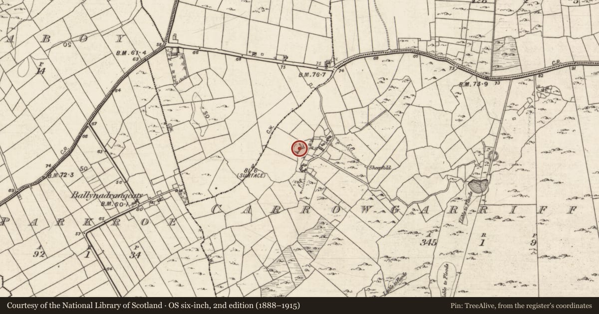 Ordnance Survey six-inch map, 2nd edition (1888–1915) covering the location of Ringfort - cashel, Carrowgarriff South, County Galway, with a pin at the register's coordinates